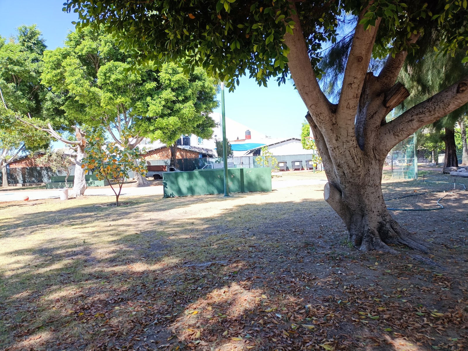Parque Colonos Prados Tepeyac