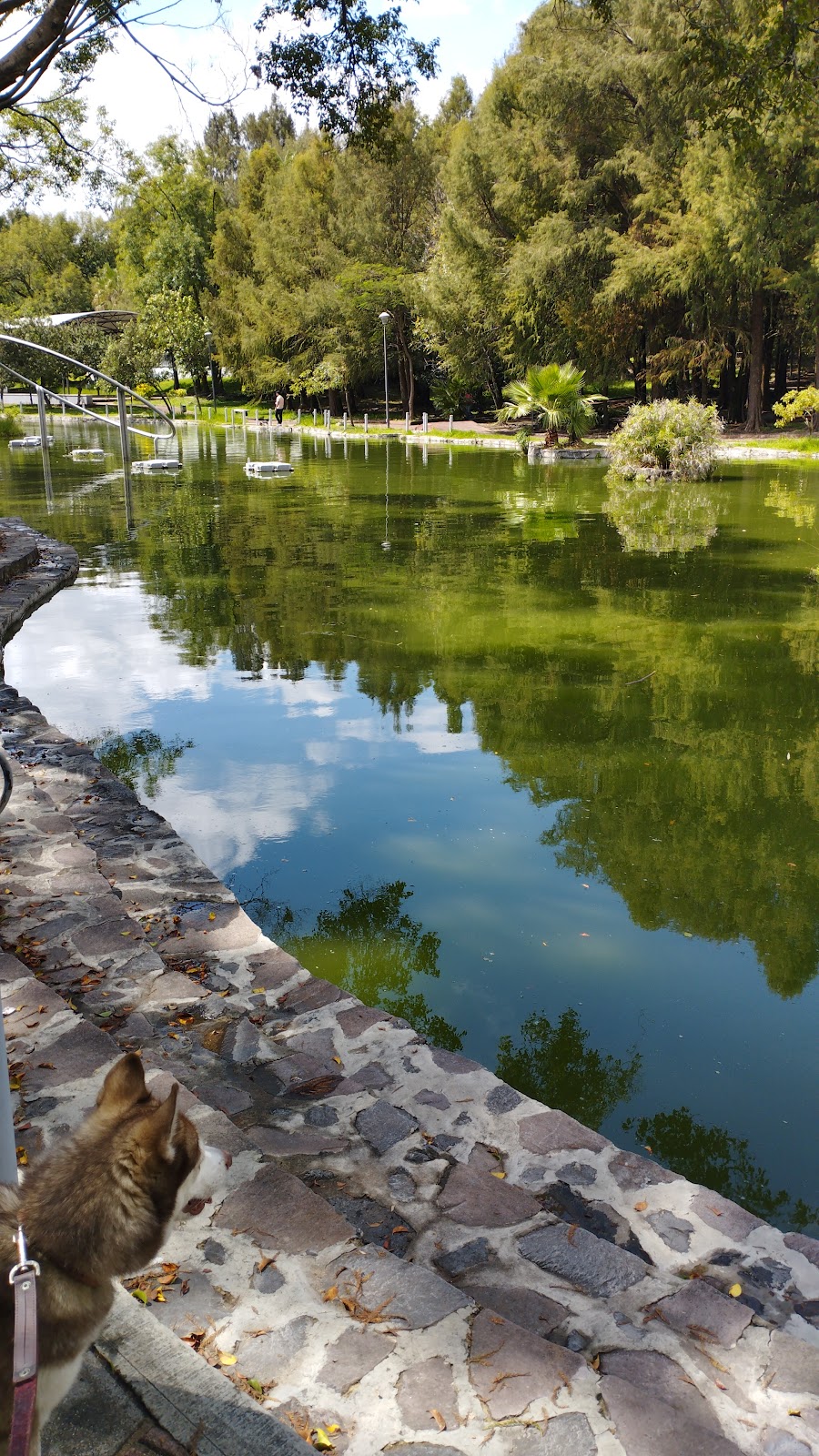 Unidad Deportiva Tucson
