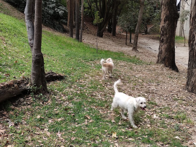 Parque Hundido Lomas Altas