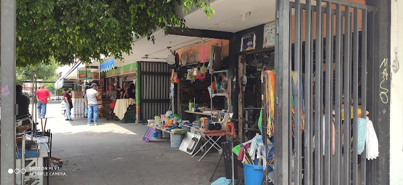 Mercado Santos Degollado (Polanco)