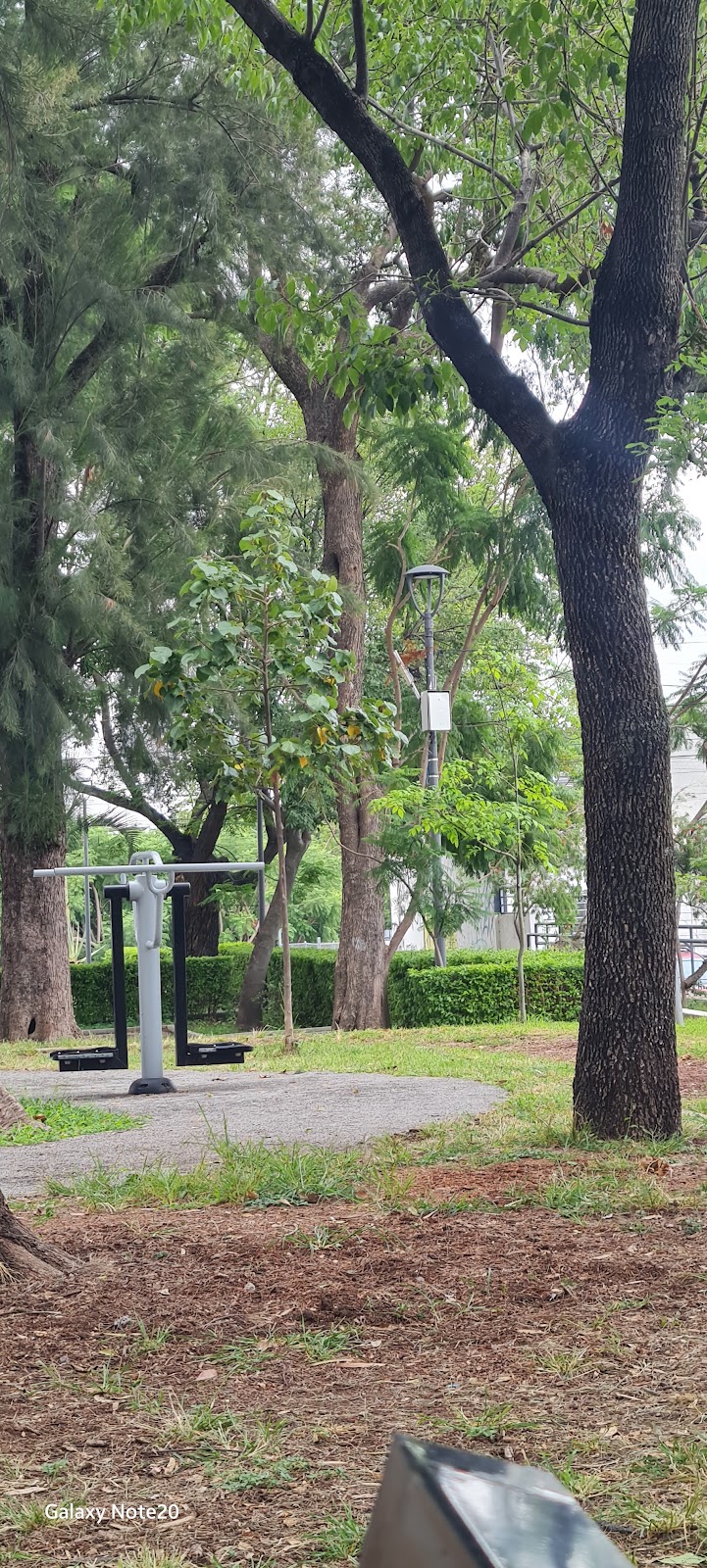 Jardín de Cisnes (Parque de Los Venados)