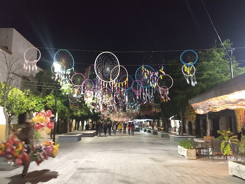 Andador 20 de Noviembre