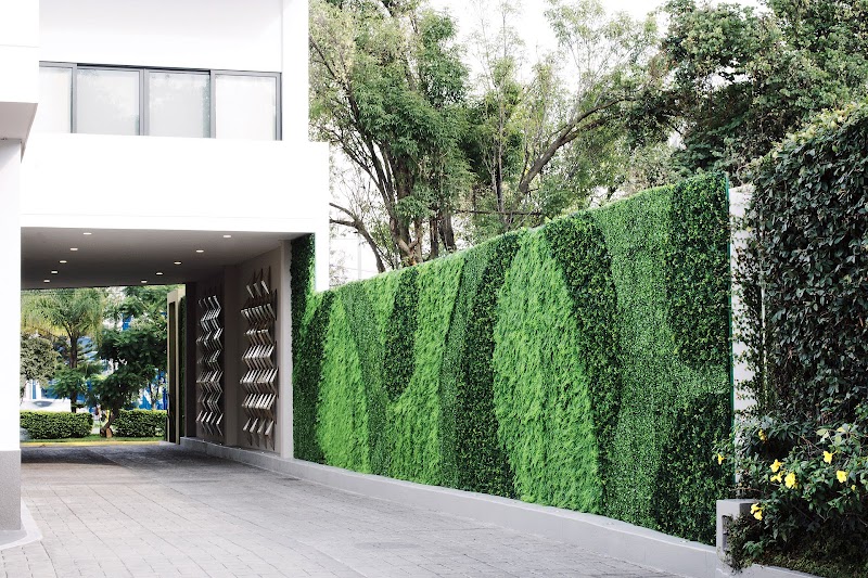 Áurea Hotel & Suites