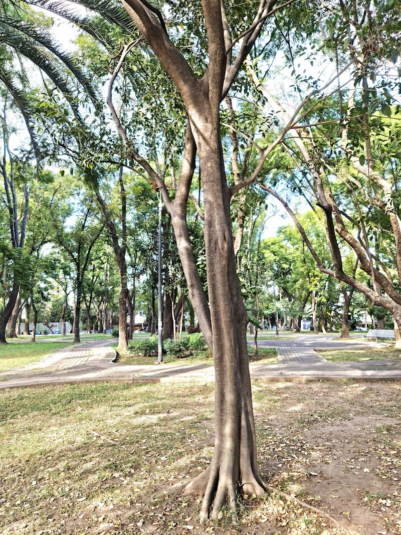 Parque de los Países Bajos